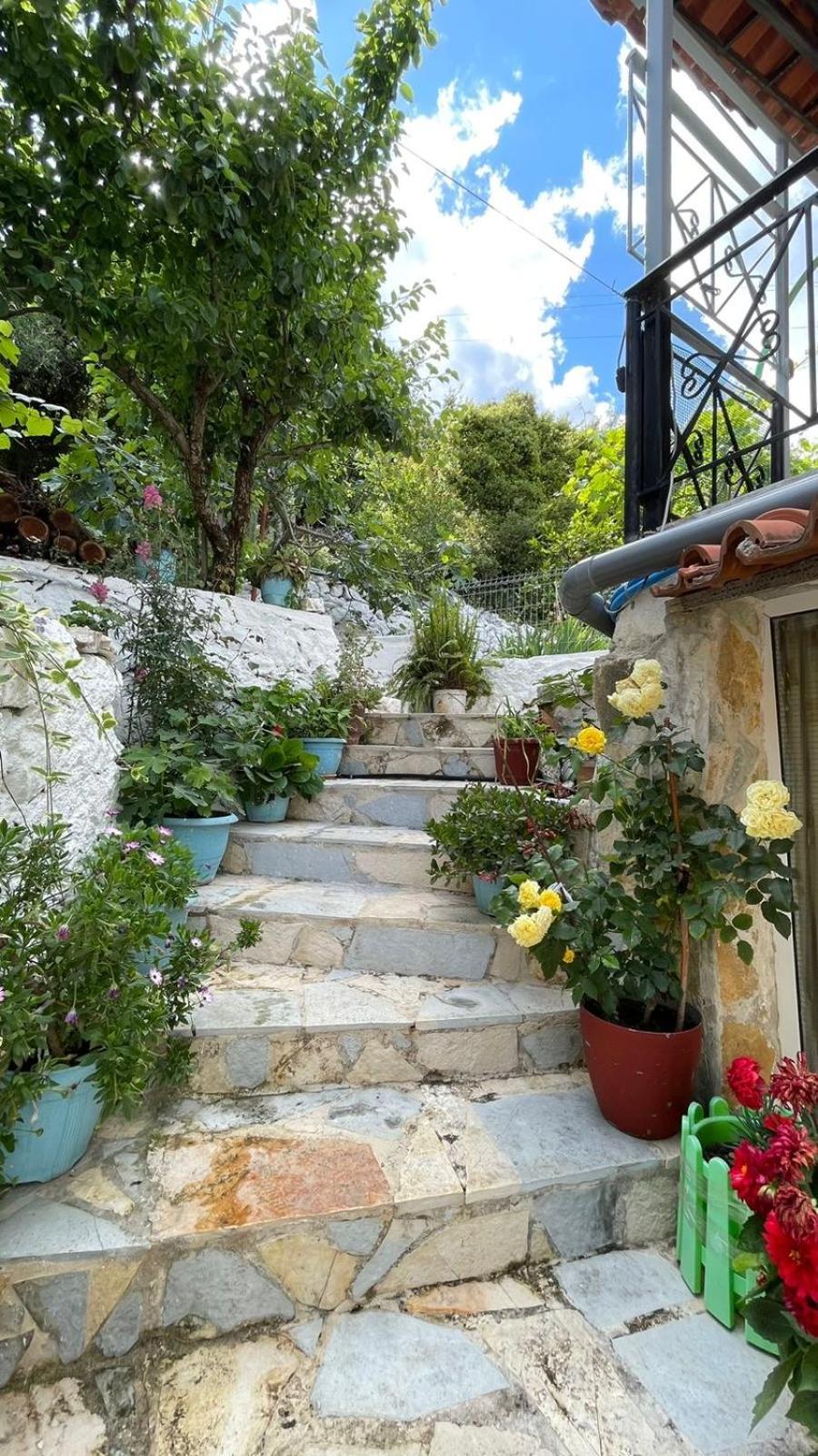 Blue Himara